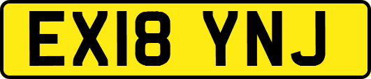 EX18YNJ