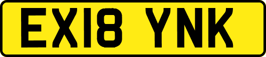 EX18YNK