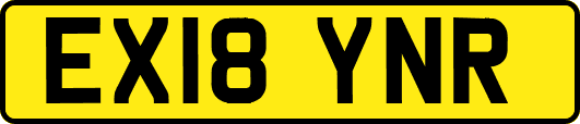 EX18YNR