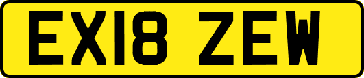 EX18ZEW