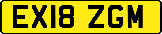 EX18ZGM