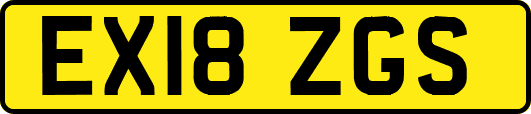 EX18ZGS