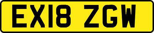 EX18ZGW