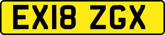 EX18ZGX