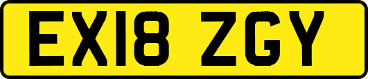 EX18ZGY