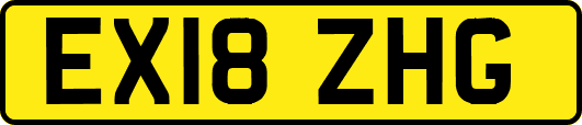 EX18ZHG