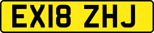 EX18ZHJ