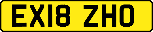 EX18ZHO