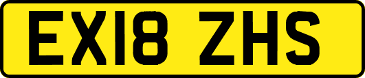 EX18ZHS
