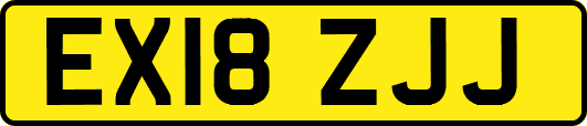 EX18ZJJ