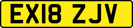 EX18ZJV