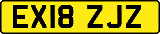 EX18ZJZ