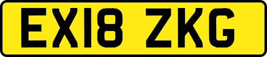 EX18ZKG