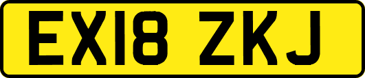 EX18ZKJ