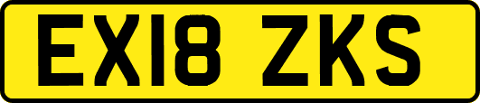 EX18ZKS