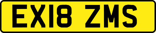 EX18ZMS