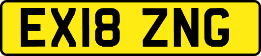 EX18ZNG