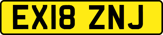 EX18ZNJ