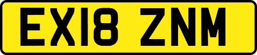 EX18ZNM