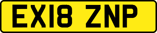 EX18ZNP