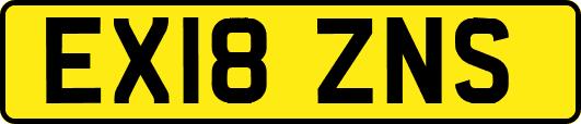 EX18ZNS