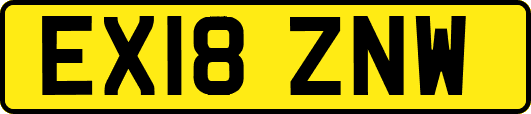 EX18ZNW