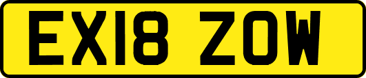 EX18ZOW