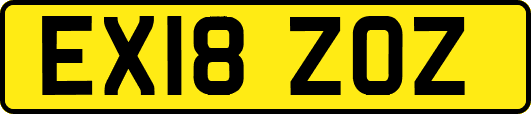 EX18ZOZ