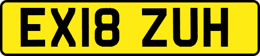EX18ZUH