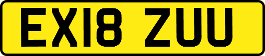 EX18ZUU