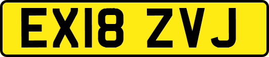 EX18ZVJ