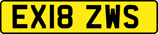 EX18ZWS