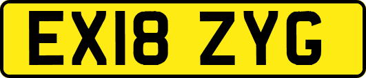 EX18ZYG