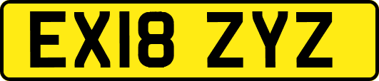 EX18ZYZ