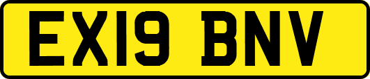 EX19BNV