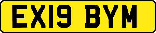 EX19BYM