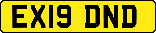 EX19DND