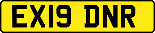 EX19DNR