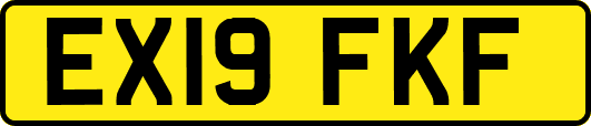 EX19FKF