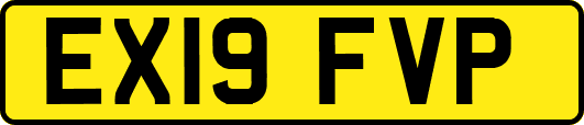 EX19FVP