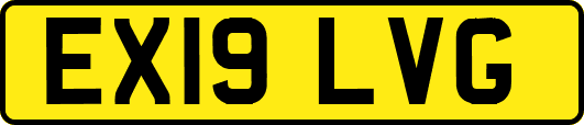 EX19LVG