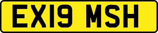EX19MSH