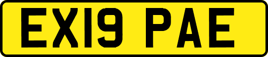 EX19PAE