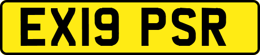 EX19PSR