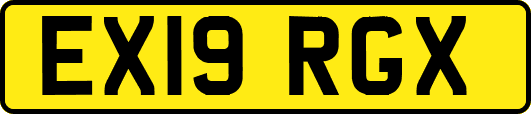 EX19RGX