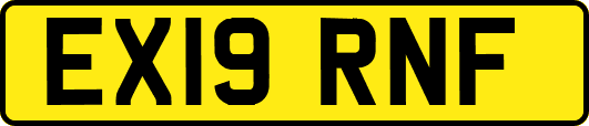 EX19RNF