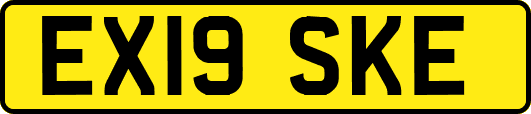 EX19SKE