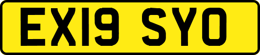 EX19SYO