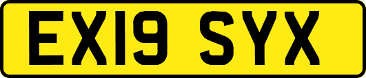 EX19SYX