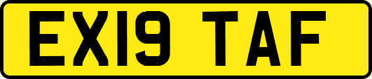 EX19TAF